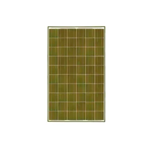 10er-Pack olivgrüne Solarmodule 300 W